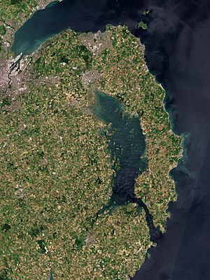 Strangford Lough by Sentinel-2