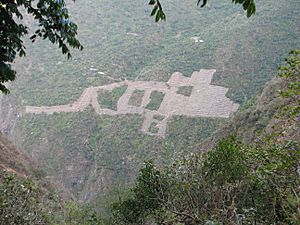 Terrazas de Choquequirao