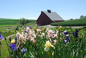 UIArboretum