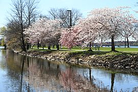 USA-Charles River Esplanade6