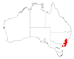 Acacia subtilinervisDistMap875.png