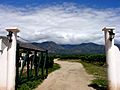 Argentine vineyard and mountains.