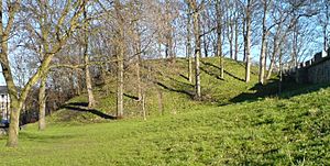 Baile Hill, York