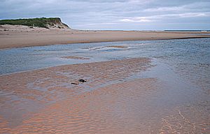 Beach south of St Combs.jpg