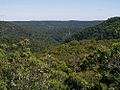 Berowra Park