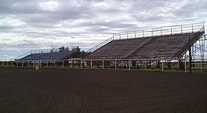 Bruce Stampede arena 10