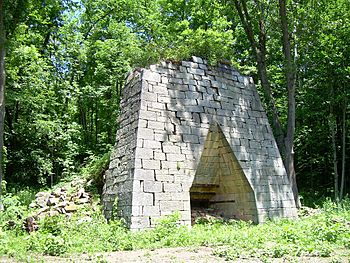 Buena Vista Furnace