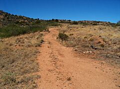 Butterfield Overland Mail trail remnant at Apache Pass, Arizona