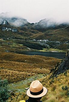 Cajasview ecuador