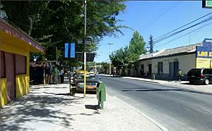 Centroperalillo.JPG