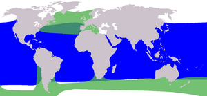 Cetacea range map Pilot Whale.png