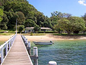 Currawong Beach