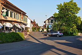 Dachsen 2010-06-24 20-09-38 ShiftN.jpg