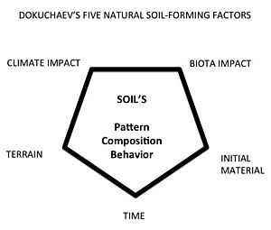 DokuchaevSoilFactors