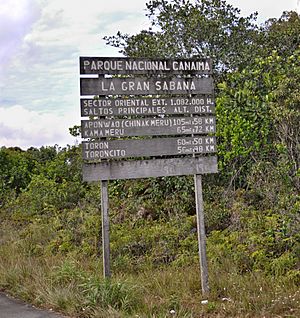 Entrada Gran sabana