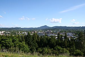 Eugene Oregon from Skinner Butte