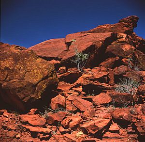 Ewanginga outcrop petroglyphs