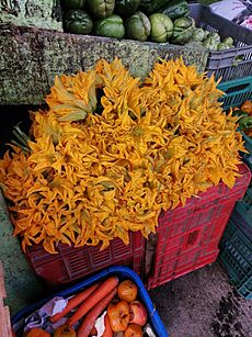 Flores de calabaza