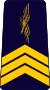 French Air Force-sergeant-chef.svg