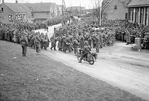 German Prisoners on Walcheren CL1513