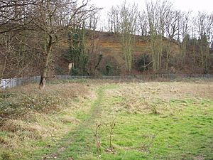 Gilberts Pit, London Borough of Greenwich, SE7 (2252315297).jpg