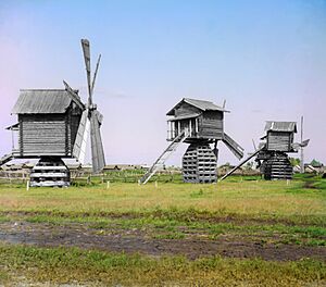 Gorskii 03965u windmills