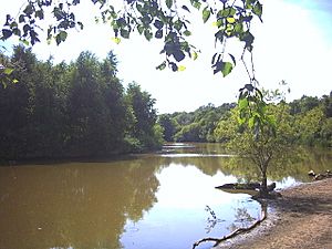 King's Mere, Putney Heath. - geograph.org.uk - 20694