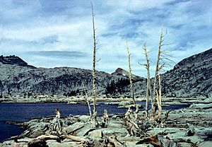 Lake Aloha rappensuncle