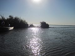 Liberty Island (5204371963)