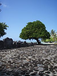 Marae Taputapuatea