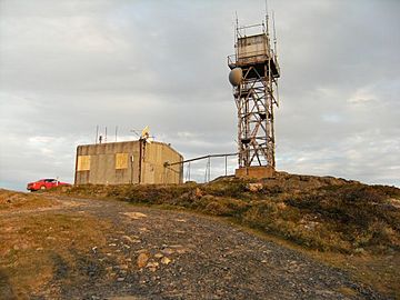 Mount Mckay Summer.jpg