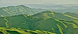 Mt Karioi from Maungakawa