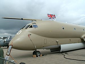 Nimrod Waddington 2005 2.jpg