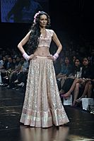 Panelled Lehenga