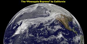 Pineapple Express to California from NASA GOES