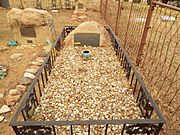 Prescott-Arizona Pioneer Home Cemetery-Grave of Sharon Hall-1