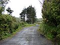 Rimutaka Incline 09