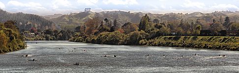 River Life by Stuart Macintosh