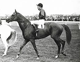 Russia 1946 VRC Melbourne Cup Flemington Racecourse Jockey Darby Munro Trainer Ted Hush