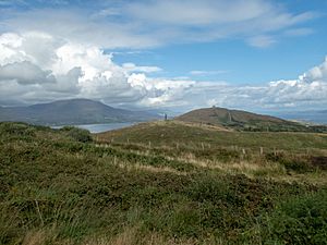 Standing stone and Martello Tower (geograph 6251777)