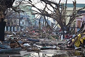 Tacloban Typhoon Haiyan 2013-11-14