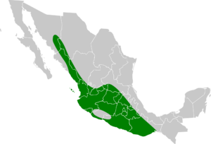 Turdus rufopalliatus map.svg