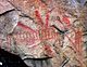 View of pictographs on Mazinaw Rock