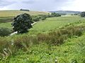 Valley of Bervie Water - geograph.org.uk - 498820