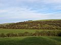 Varncombe Hill - geograph.org.uk - 1640421