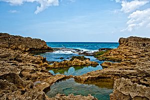 Vega Baja tidepools (6272356283)