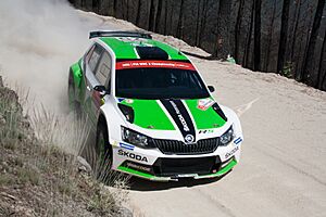 Škoda Motorsport (18060783156)