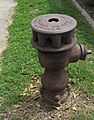 1869BirdsillHollyHydrantSideTop