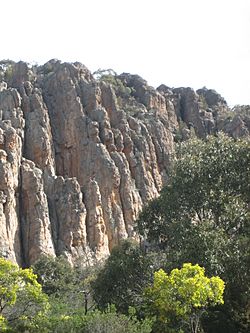 Arapiles Organ Pipes