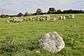 Ballynoe (48), September 2009